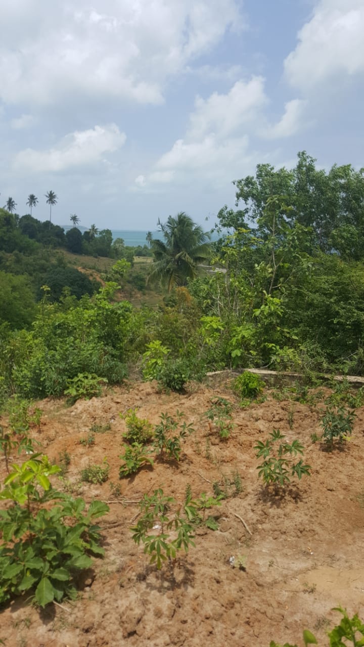 TWO LAND FOR INVESTMENT AT PEMBA